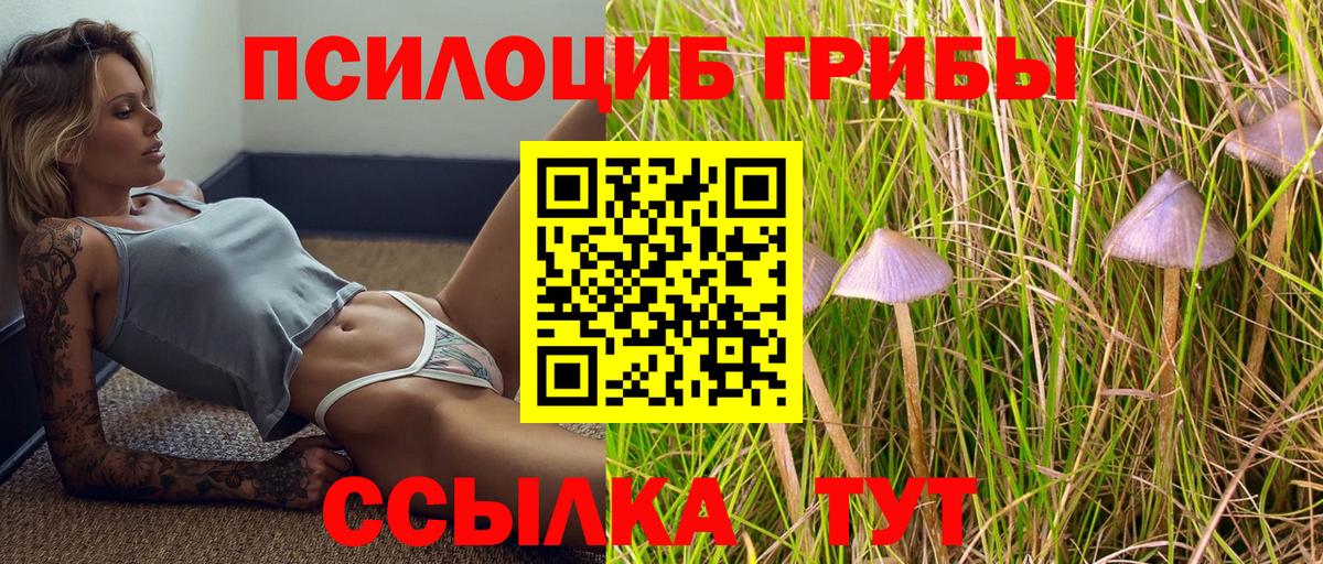 Барабинск  Галлюциногенные грибы мухоморы  Галлюциногенные грибы Cubensis  Вход с VPN 