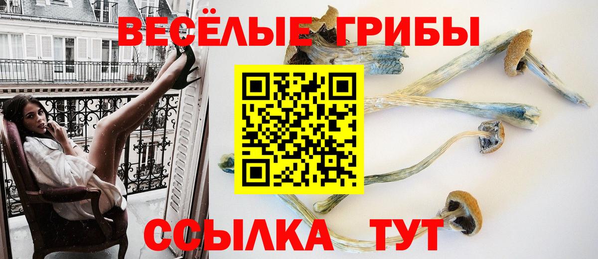 Псилоцибиновые грибы прущие грибы Барабинск